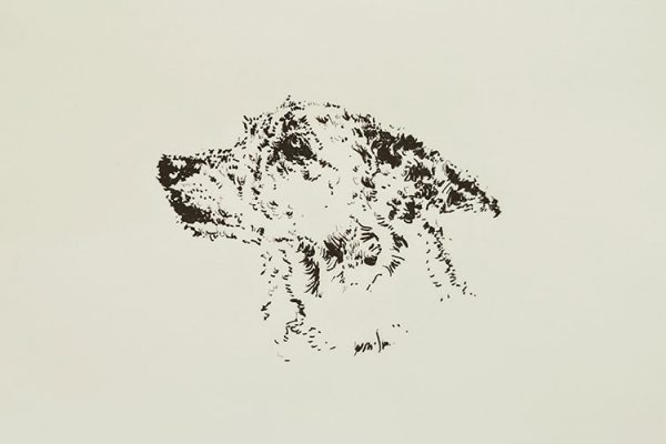 dibujo-a-tinta-perro dibujo de un perro a tinta negra sobre papel amarillo