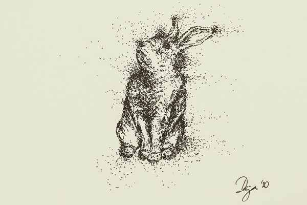 retrato-conejo-a-tinta dibujo de un perro a tinta negra sobre papel amarillo