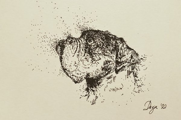 retrato-de-tu-perro-a-tinta dibujo de un perro a tinta negra sobre papel amarillo