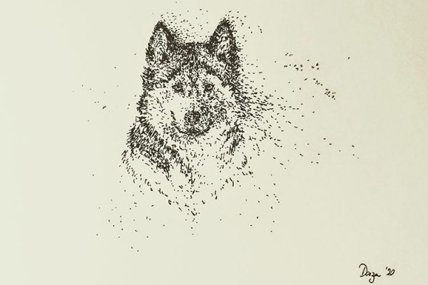 retrato-perro-tinta dibujo de un perro a tinta negra sobre papel amarillo